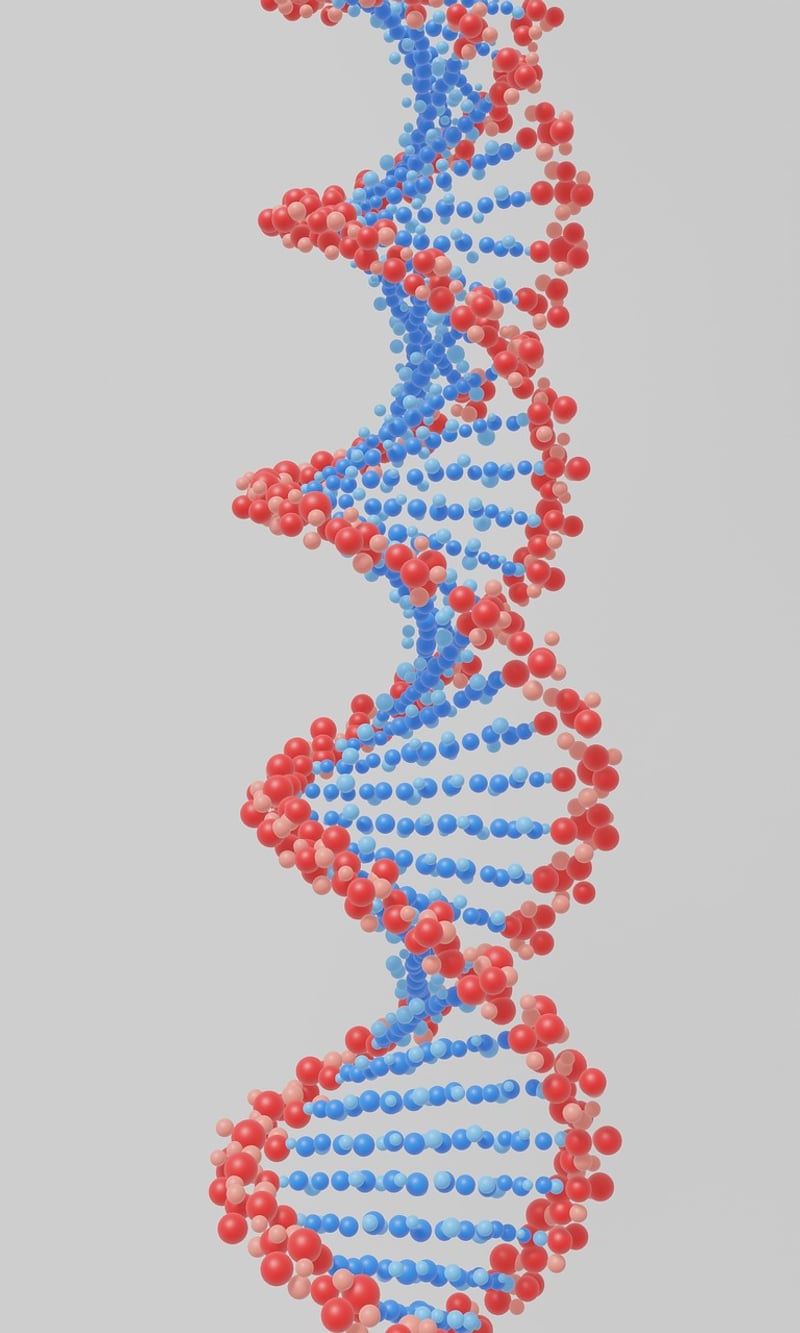 Precision Medicine Image